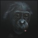 Bonobo; Acryl auf Leinwand;
120 x 120 cm