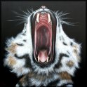 Tiger; Acryl auf Leinwand;
120 x 120 cm