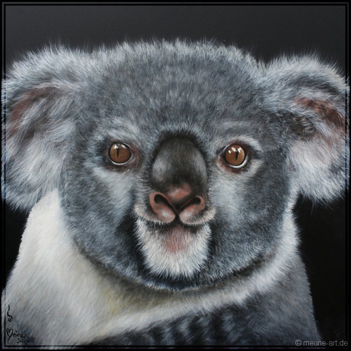 Koala Acryl auf Leinwand;
100 x 100 cm