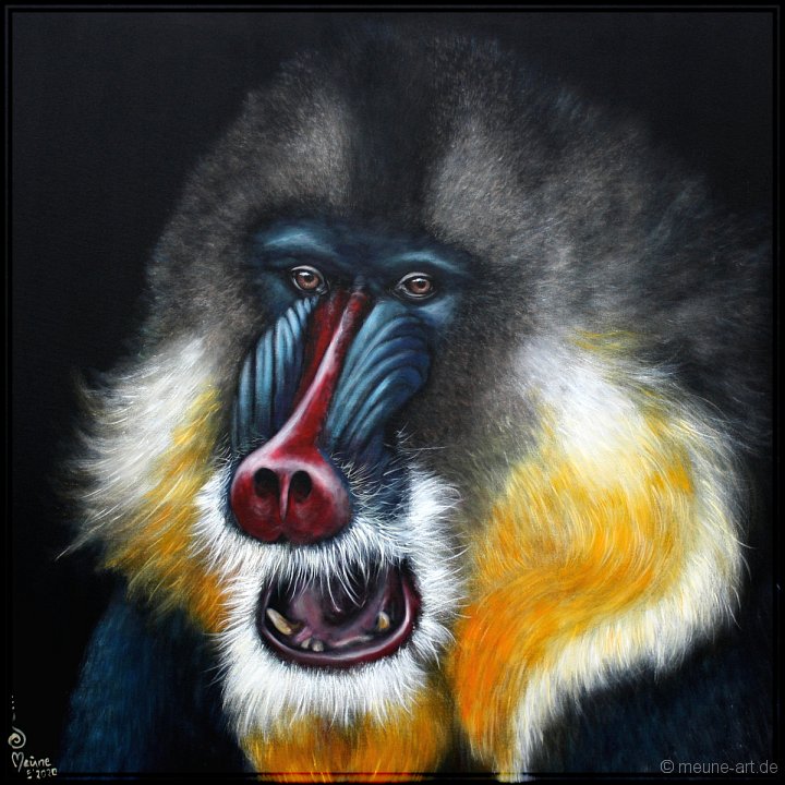 Mandrill Acryl auf Leinwand;
100 x 100 cm