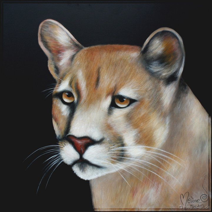 Puma Acryl auf Leinwand;
120 x 120 cm