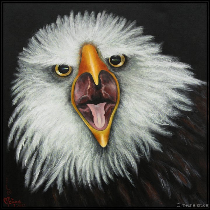 Seeadler Acryl auf Leinwand;
77 x 77 cm
