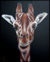 Giraffe; Acryl auf Leinwand;
60 x 80 cm