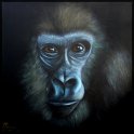 Gorilla; Acryl auf Leinwand;
120 x 120 cm