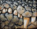 Krokodilzähne; Acryl auf Leinwand;
100 x 80 cm
