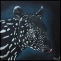 Tapirbaby 