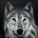 Wolf; Acryl auf Leinwand;
70 x 70 cm;
verkauft